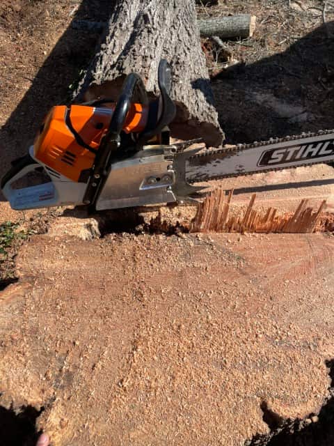 Tree service completed project Charlotte