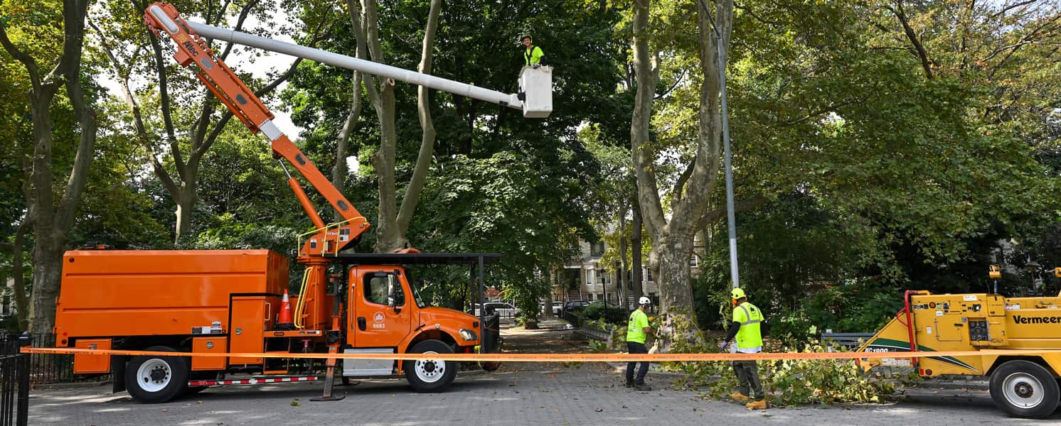 Land clearing service Charlotte NC