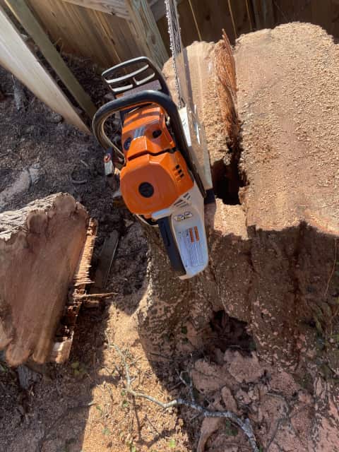 Ksor Tree Service certified arborist, Charlotte NC